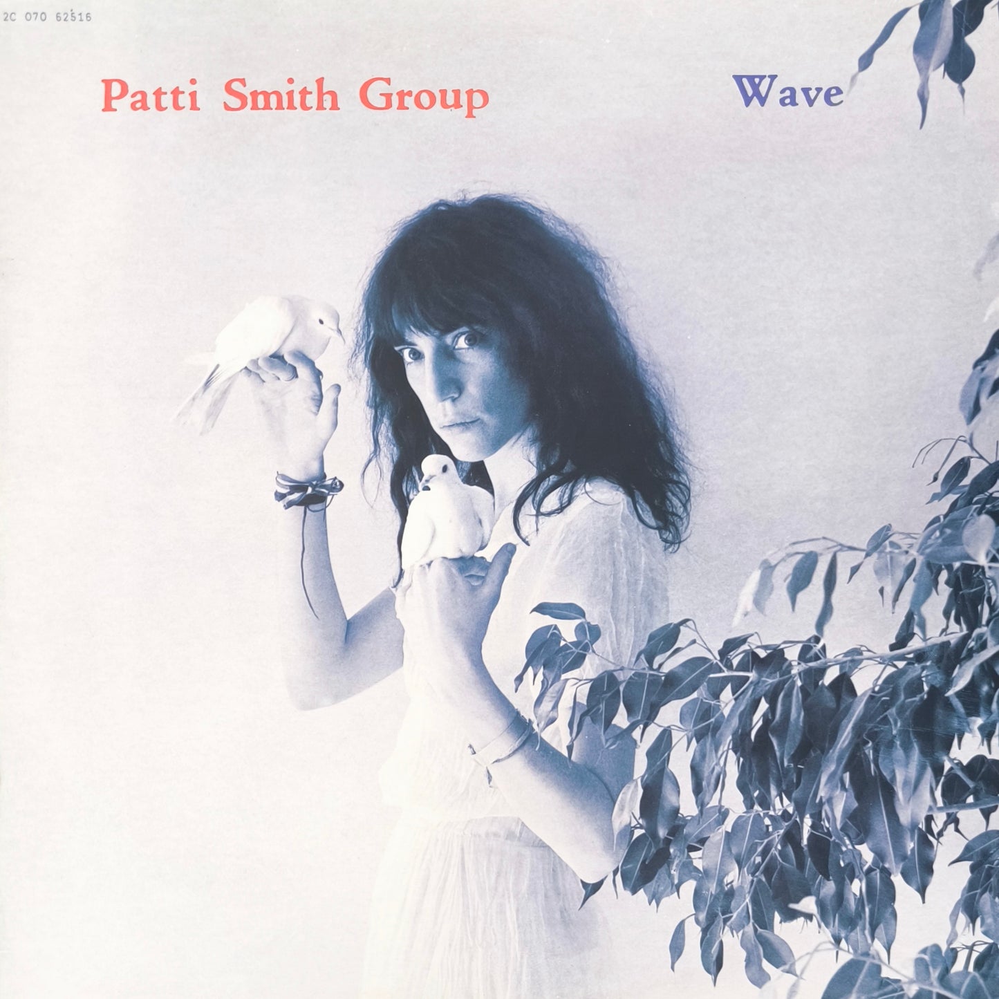PATTI SMITH GROUP - Wave