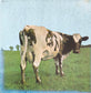 PINK FLOYD - Atom Heart Mother