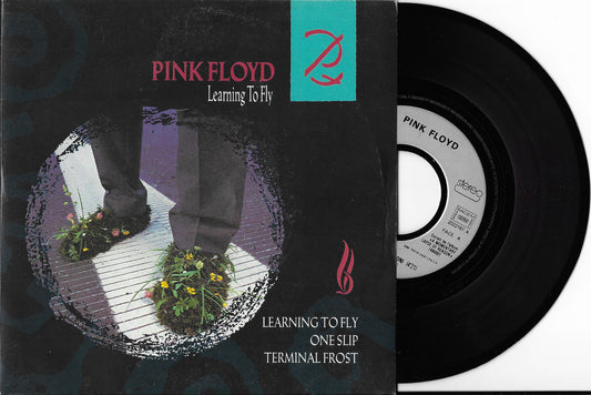 PINK FLOYD - Learning To Fly