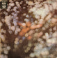 PINK FLOYD - Obscured By Clouds