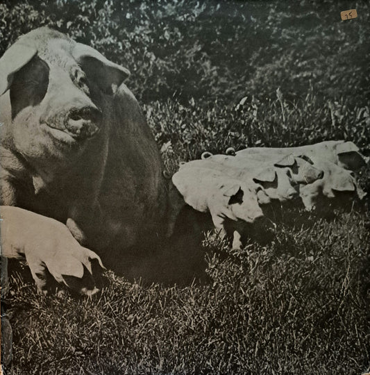 PINK FLOYD - The Best Of Tour 72