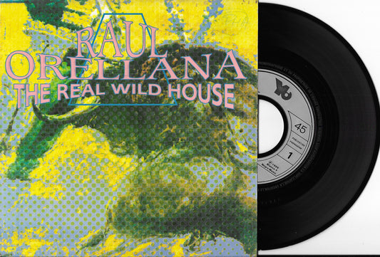 RAUL ORELLANA - The Real Wild House