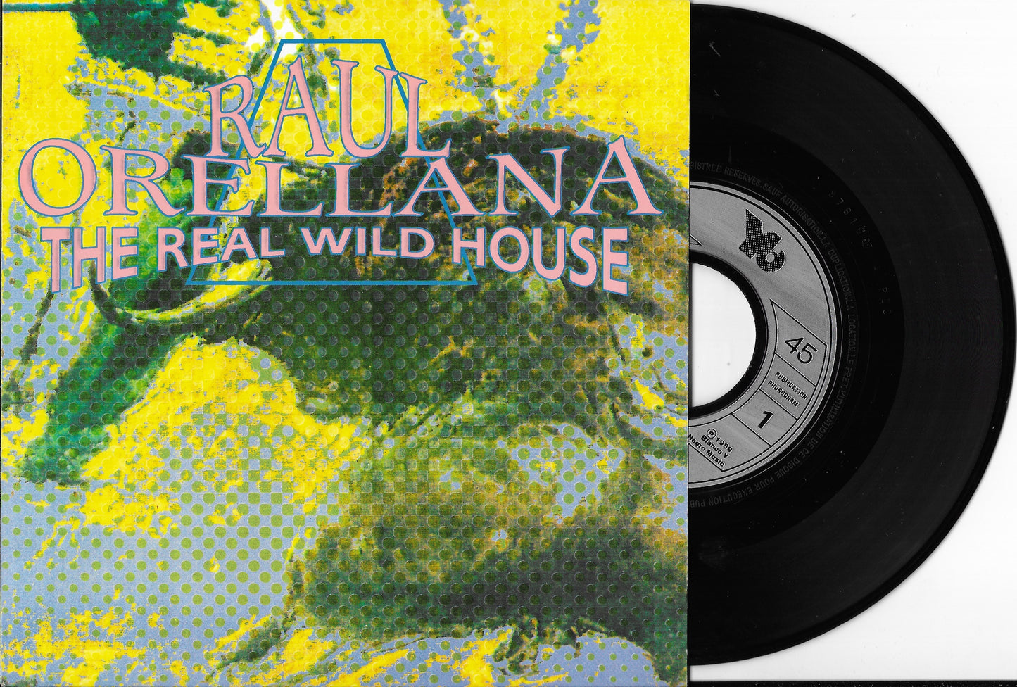 RAUL ORELLANA - The Real Wild House