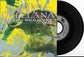 RAUL ORELLANA - The Real Wild House