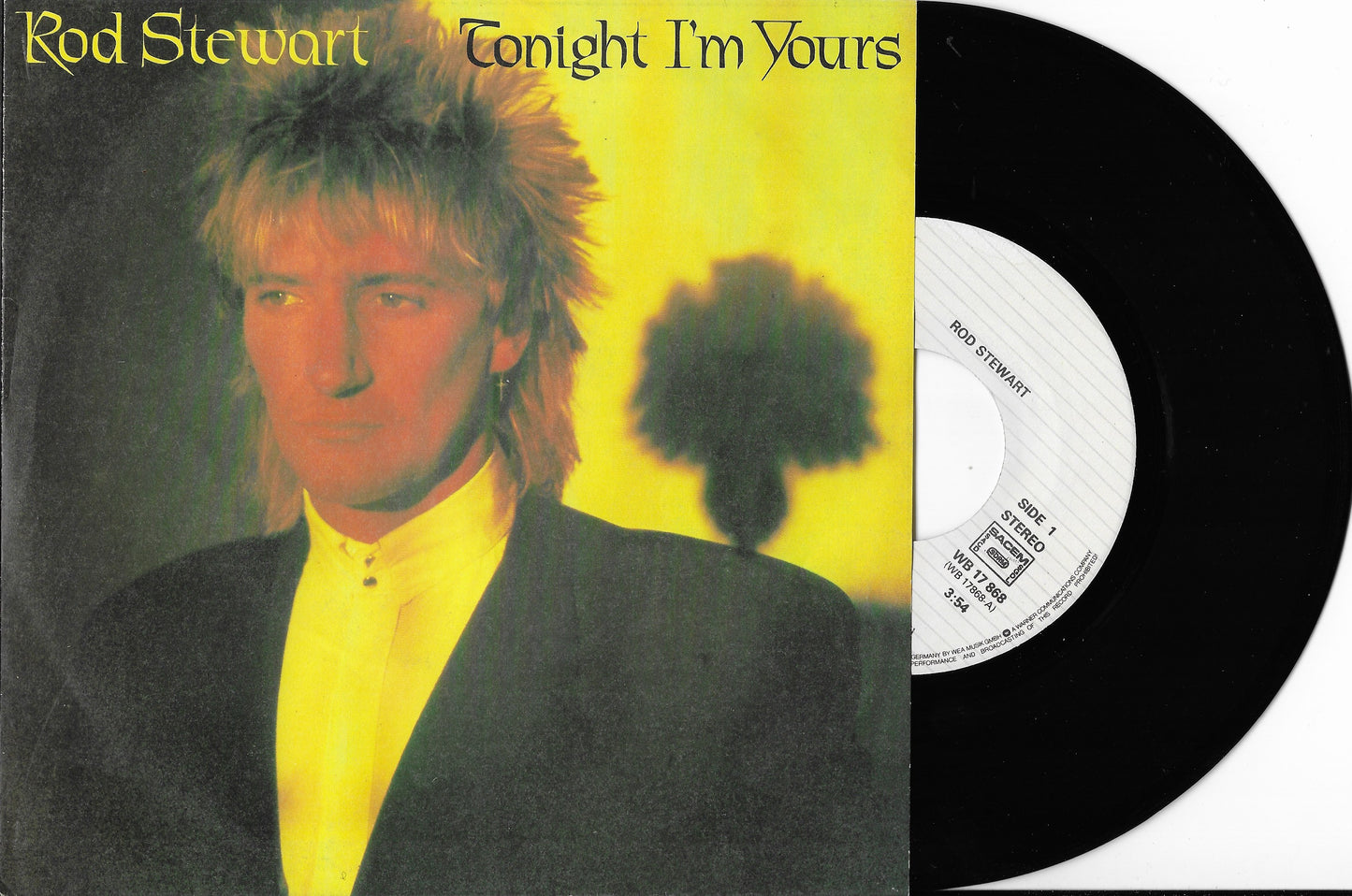 ROD STEWART - Tonight I'm Yours