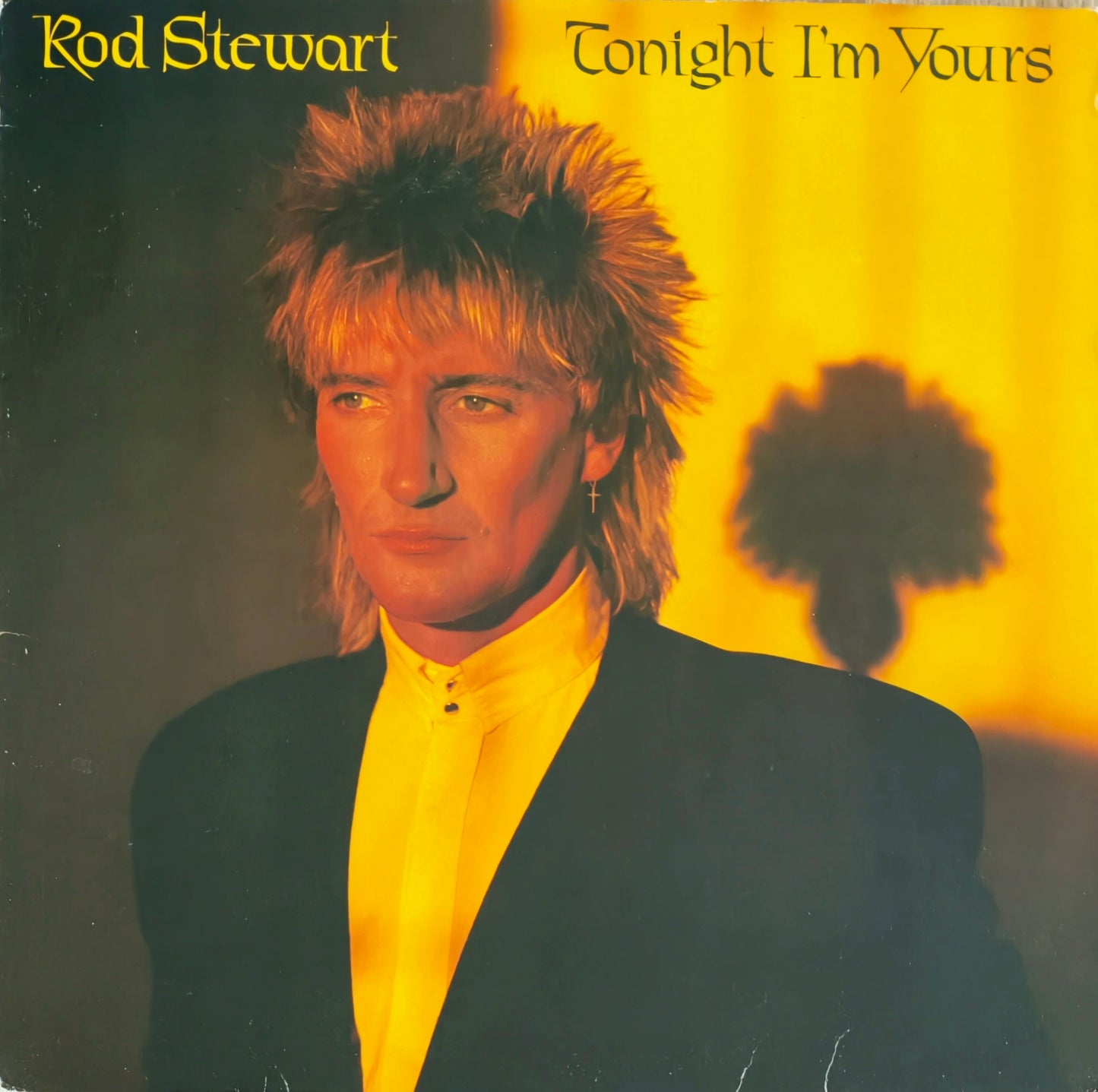 ROD STEWART - Tonight I'm Yours