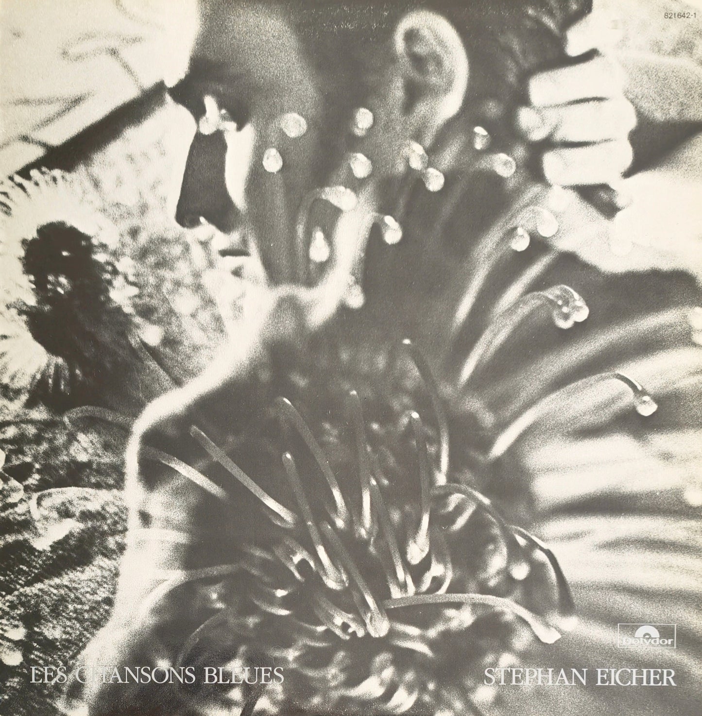 STEPHAN EICHER - Les Chansons Bleues