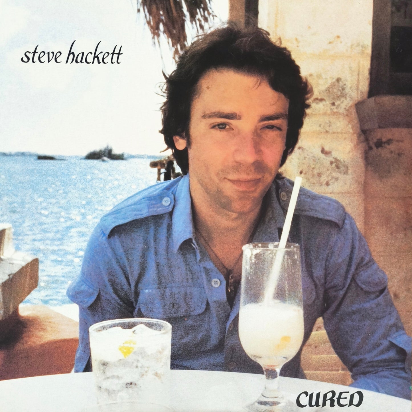 STEVE HACKETT - Cured