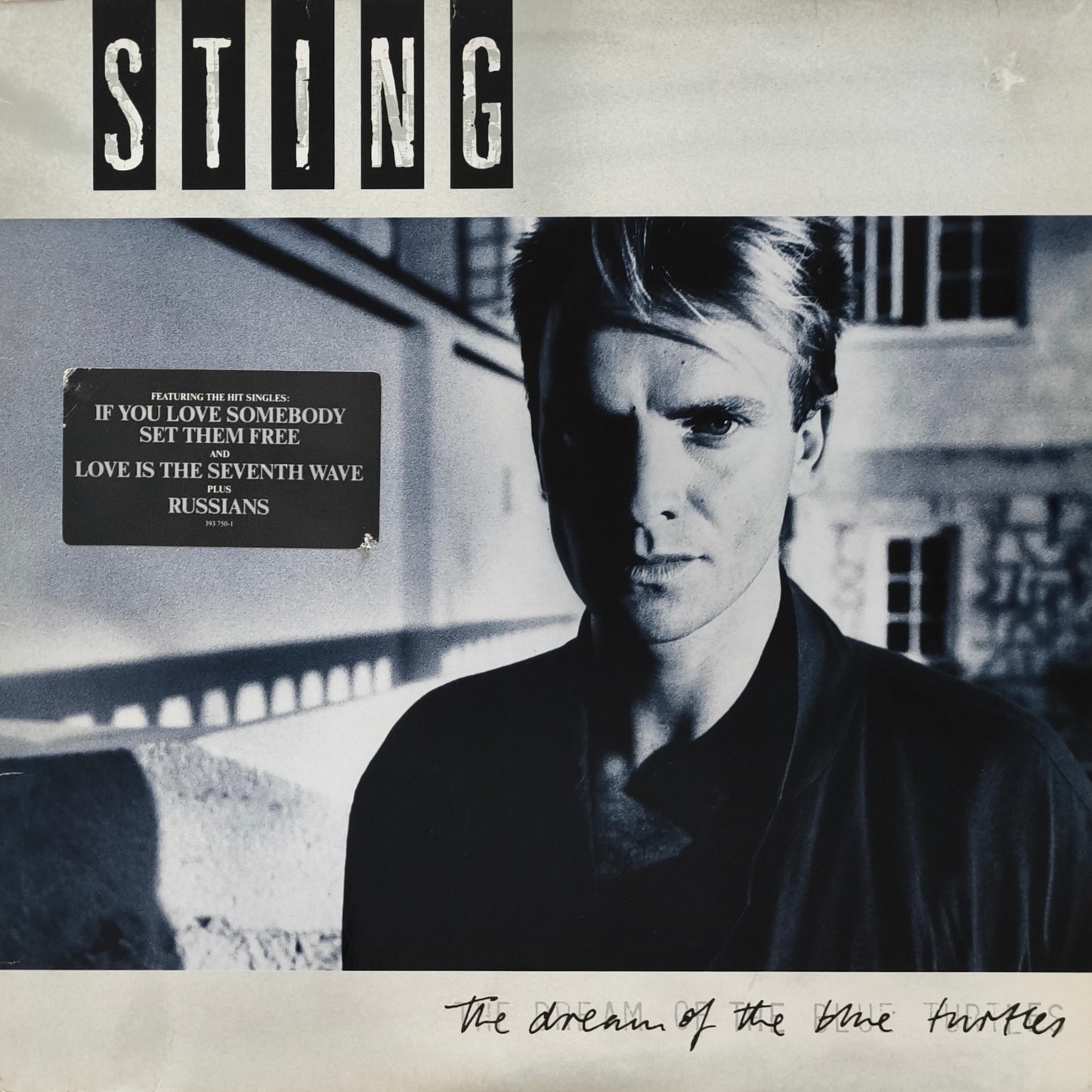 STING - The Dream Of The Blue Turtles