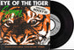 SURVIVOR - Eye Of The Tiger
