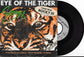 SURVIVOR - Eye Of The Tiger (Theme From Rocky III)