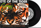 SURVIVOR - Eye Of The Tiger (Theme From Rocky III)