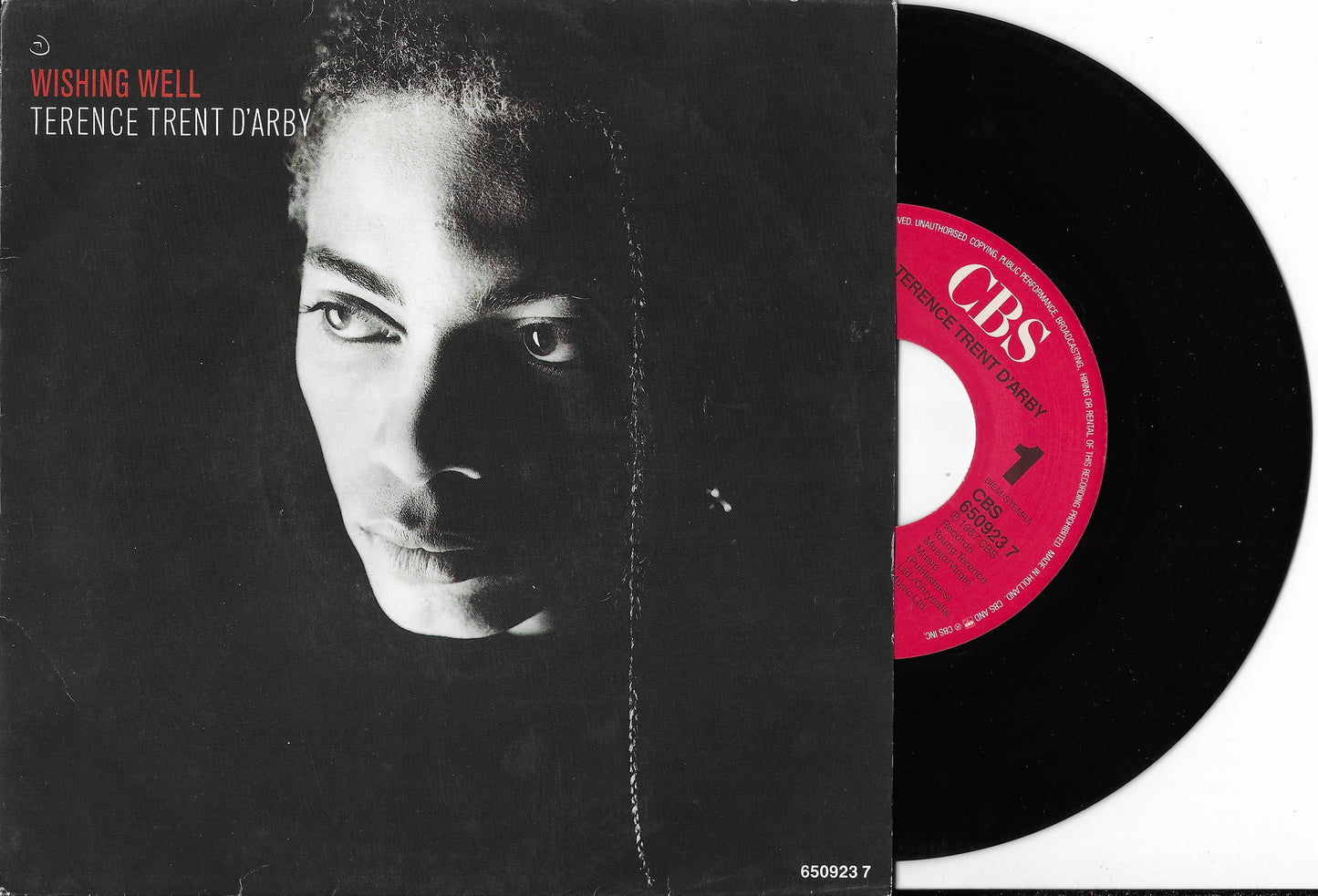 TERENCE TRENT D'ARBY - Wishing Well