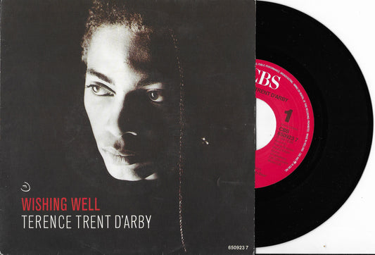 TERENCE TRENT D'ARBY - Wishing Well