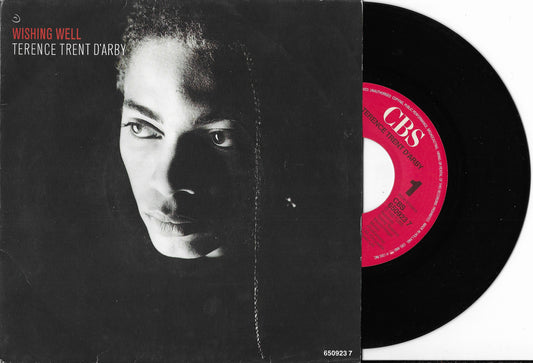 TERENCE TRENT D'ARBY - Wishing Well