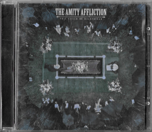 THE AMITY AFFLICTION - This Could Be Heartbreak