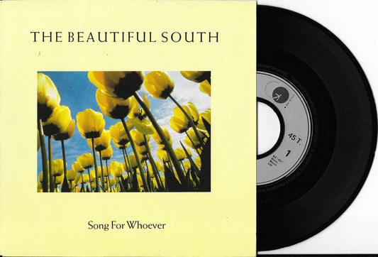 THE BEAUTIFUL SOUTH - Song For Whoever