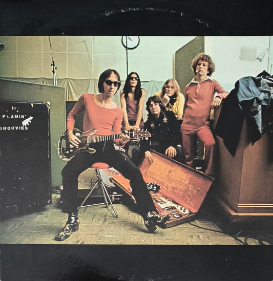 THE FLAMIN' GROOVIES - Teenage Head (pressage US)