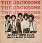 THE JACKSONS - Shake Your Body (Down To The Ground)