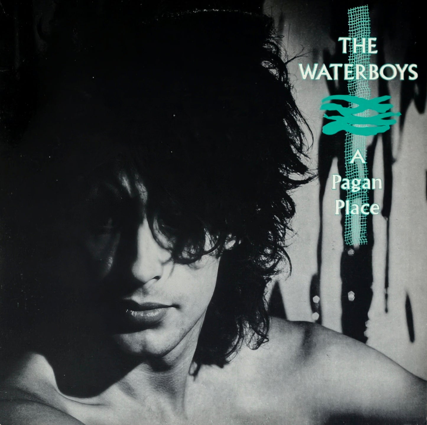 THE WATERBOYS -  A Pagan Place