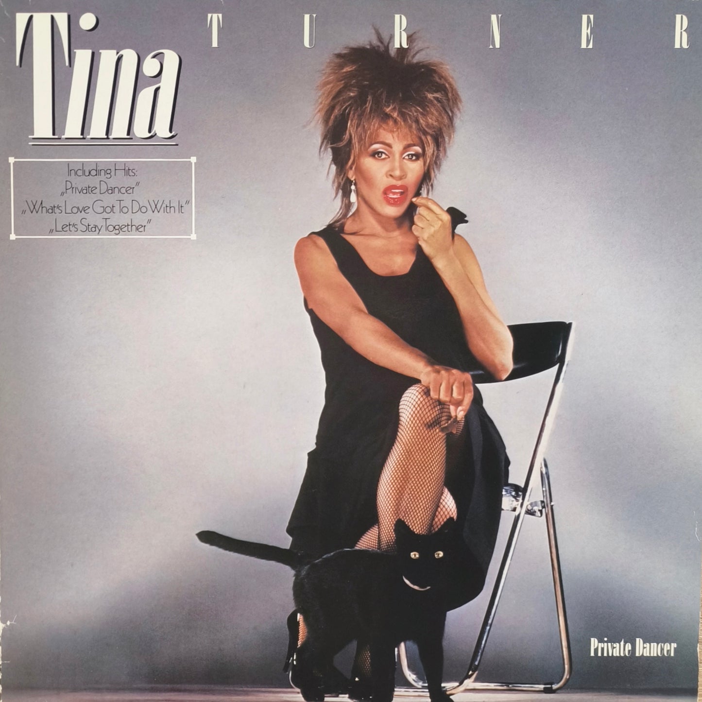 TINA TURNER - Private Dancer