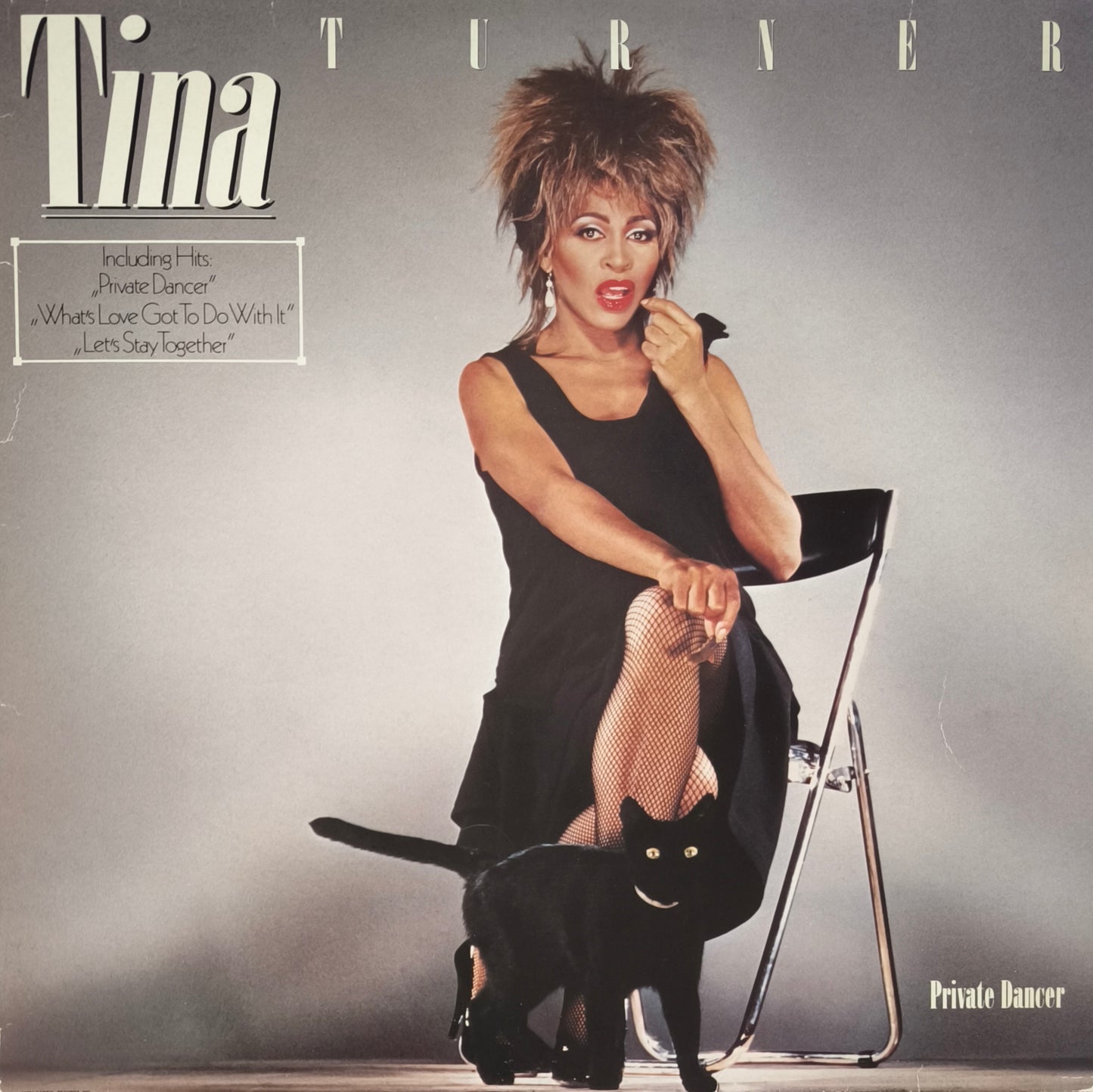 TINA TURNER - Private Dancer