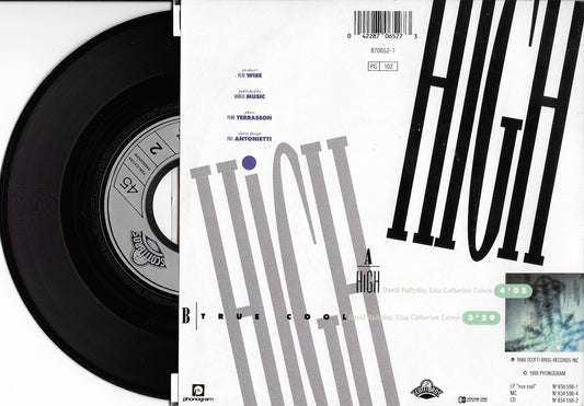 DAVID HALLYDAY - High