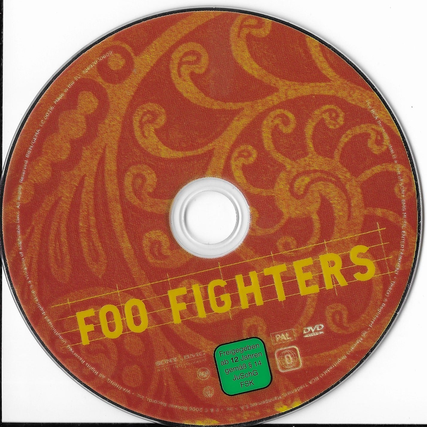 FOO FIGHTERS - Skin And Bones