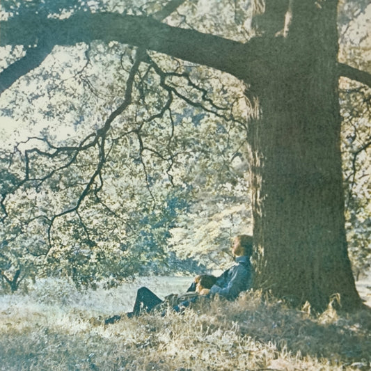 YOKO ONO / PLASTIC ONO BAND - Plastic Ono Band (pressage US 2016)