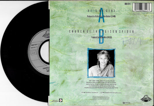 DAVID HALLYDAY - He's My Girl