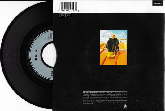 BLACK - Wonderful Life