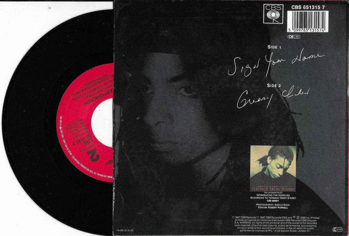 TERENCE TRENT D'ARBY - Sign Your Name