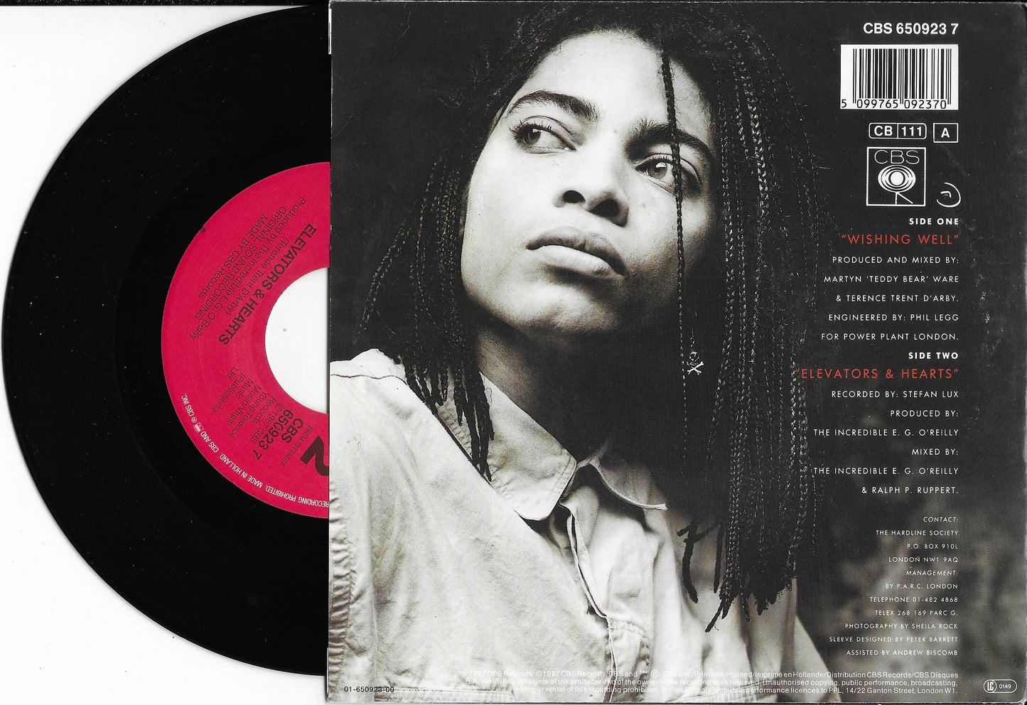 TERENCE TRENT D'ARBY - Wishing Well