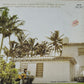 ERIC CLAPTON - 461 Ocean Boulevard