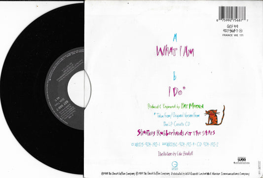 EDIE BRICKELL & NEW BOHEMIANS -  What I Am