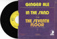 GINGER ALE - In The Sand