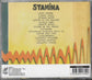 ISRAEL VIBRATION - Stamina
