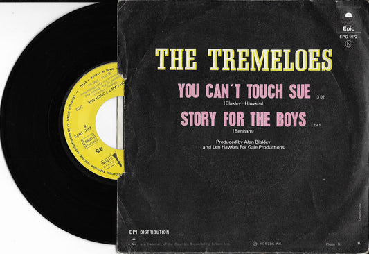 THE TREMELOES - You Can't Touch Sue