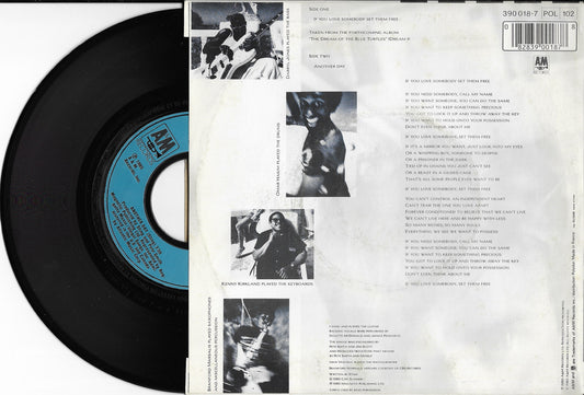 STING - If You Love Somebody Set Them Free