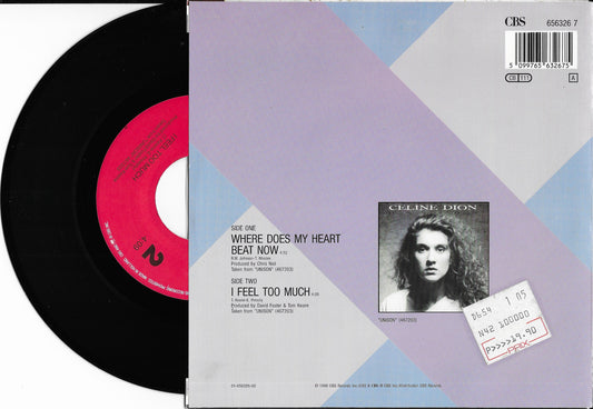 CELINE DION - Where Does My Heart Beat Now