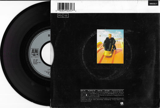 BLACK - Wonderful Life