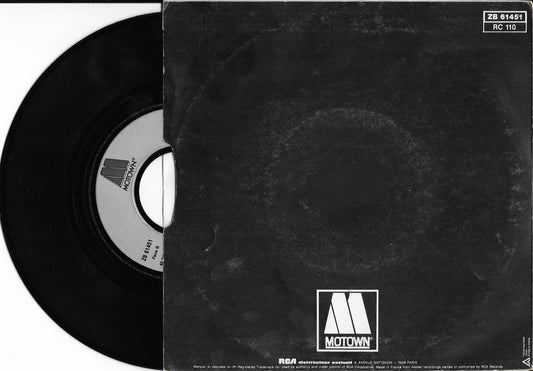 STEVIE WONDER - I Just Call to Say I Love You