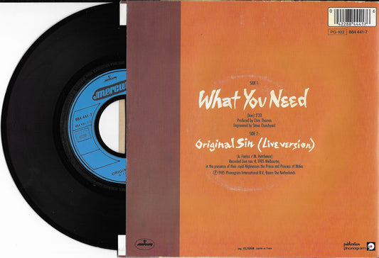 INXS - What You Need