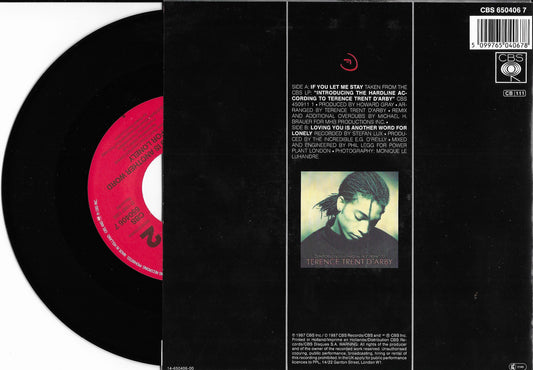 TERENCE TRENT D'ARBY - If You Let Me Stay