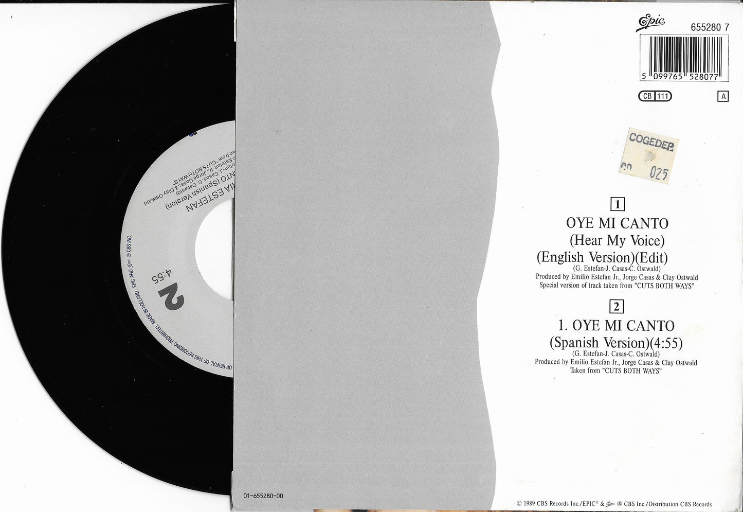 GLORIA ESTEFAN - Oye Mi Canto (Hear My Voice)