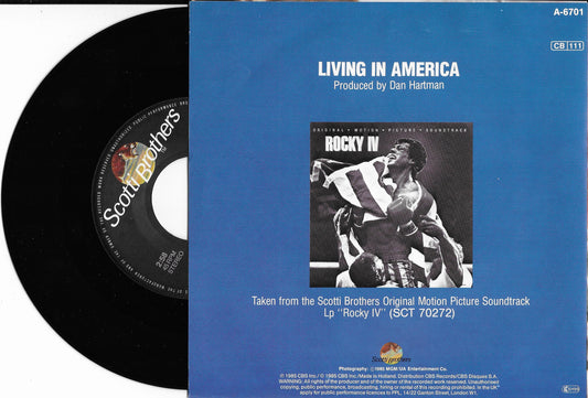 JAMES BROWN - Living In America