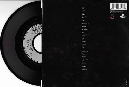 BANANARAMA - Love In The First Degree