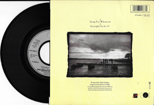 THE BEAUTIFUL SOUTH - Song For Whoever