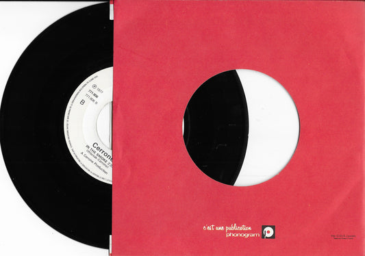 CERRONE - Supernature