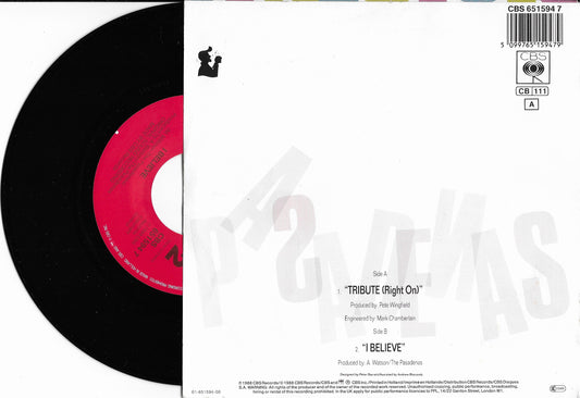 THE PASADENAS - Tribute